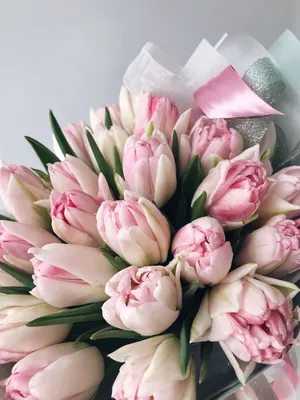 Пионовидные тюльпаны Фокстрот - купить в Москве | Flowerna