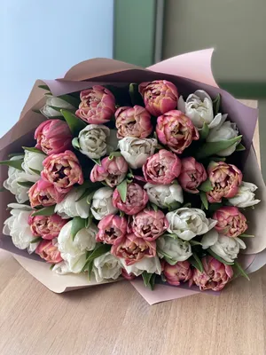 Тюльпан белый пионовидный заказать | Интернет-магазин Julia-Flower