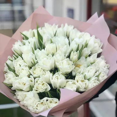 Тюльпаны Qatar купить в Минске - LIONflowers