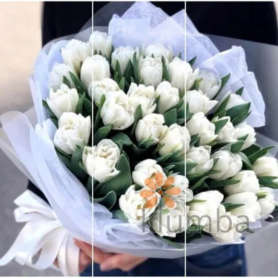 Тюльпан Оранжевые Пионовидные - Flowers Emily