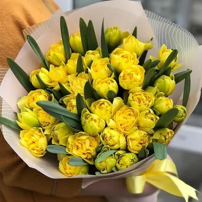 49 розовых пионовидных тюльпанов в коробке