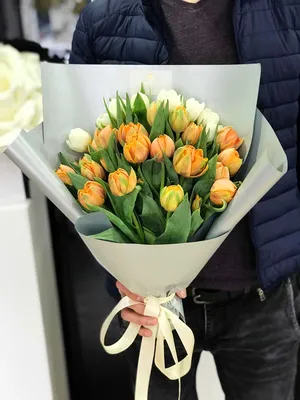 Пионовидные тюльпаны – фото и описания 10 лучших сортов | В цветнике  (Огород.ru)
