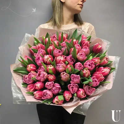 Сортовые пионовидные Тюльпаны в пачках - 8 Марта Тюльпаны - Каталог -  Euro-Buket.ru