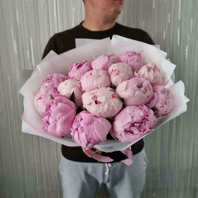25 розовых пионов - Доставкой цветов в Москве! 5563 товаров! Цены от 487  руб. Цветы Тут