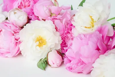Скачать обои цветы, розы, букет, желтые, лепестки, банка, ваза, розовые,  раздел цветы в разрешении 2000x1333
