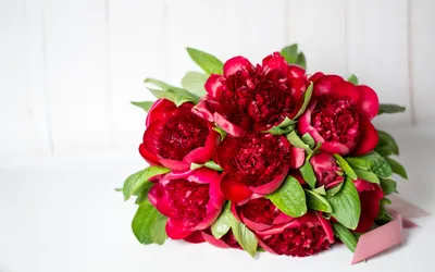 Пин от пользователя Arina на доске Wallpaper | Пионы, Красивые цветы,  Розовые пионы