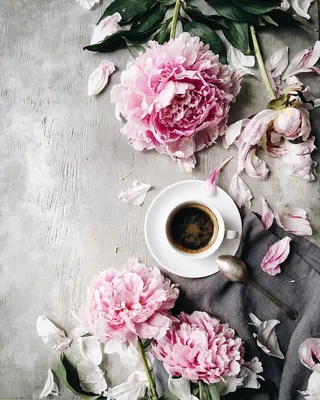 Coffee with peonies☕️Have a beautiful weekend dear friends!🌸 Коллекция  чашек кофе растёт и сегодня с пионами… | Цветочные фоны, Пионы, Искусство  приготовления кофе