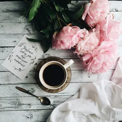 Pin by Анастасия on Пионы | Coffee photography, Flat lay photography,  Flowers photography