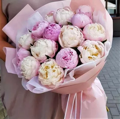 Пионы букет с зеленью №602 - 🌹 Цветы Новосибирск заказ: