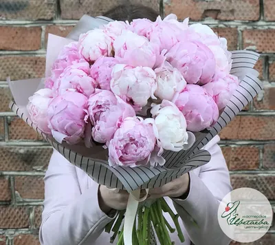 Какие бывают пионы: описание и фото лучших сортов - Цветочка