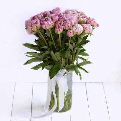 Пионы купить: заказать пионы с доставкой по Киеву Golden Flora
