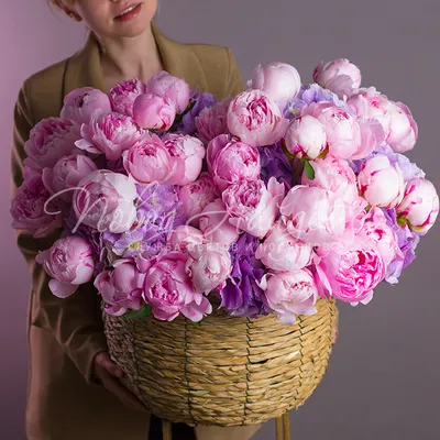 Пионы в коробке L - купить в интернет-магазине Rosa Grand