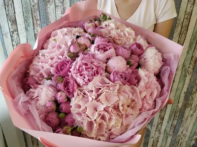 Почему не цветут пионы после пересадки? - Matla Flowers