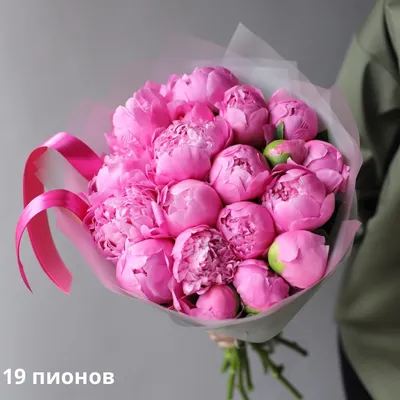 Как вырастить пион дома | Блог Чайная роза