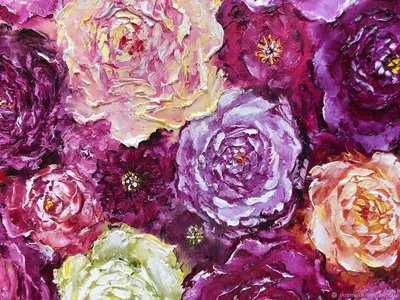 красивый розовый пион с каплями дождя в саду макро Стоковое Изображение -  изображение насчитывающей флористическо, сад: 221492673