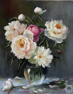Коралловые пионы маслом