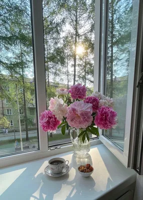 Pink peonies on the window / пионы в вазе на окне | Decoração com flores,  Lugares com flores, Flores na janela