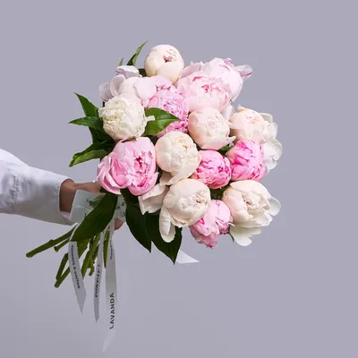 Белые и розовые пионы - купить с доставкой в Омске - LAVANDA