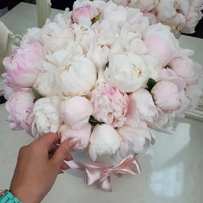 Букет из белых и розовых пионов в шляпной коробке - заказать доставку  цветов в Москве от Leto Flowers