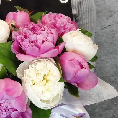 Белые и розовые пионы в коробке – купить с быстрой доставкой в Москве