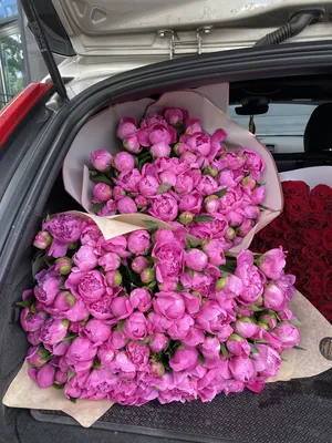 Букет из 5 нежно-розовых пионов Сара Бернар | доставка по Москве и области