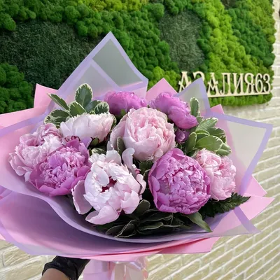 Розовые и белые пионы в саде Стоковое Изображение - изображение  насчитывающей ботаническую, лужок: 119683667