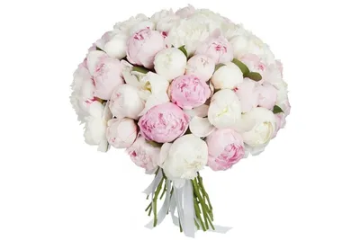 Pink Peony Flower PNG Picture, Beautiful Pink Peony Flowers, White Peony,  Flowers, Small Fresh PNG Image For Free Download | Розовые пионы,  Акварельные цветы, Белые пионы