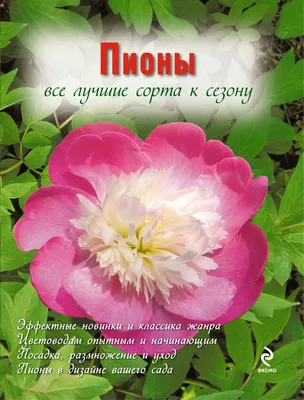 Пионы в ландшафтном дизайне: как оформить клумбы, что посадить рядом