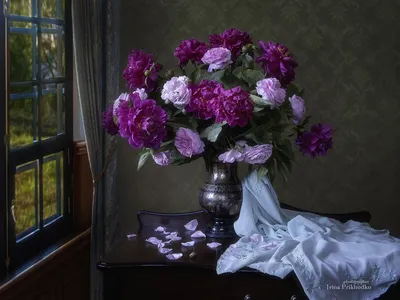 Фотообои 3D пионы в интерьере 368 x 254 см Светло розовые цветы (13817P8)  Лучшее качество (ID#1929034486), цена: 1200 ₴, купить на Prom.ua