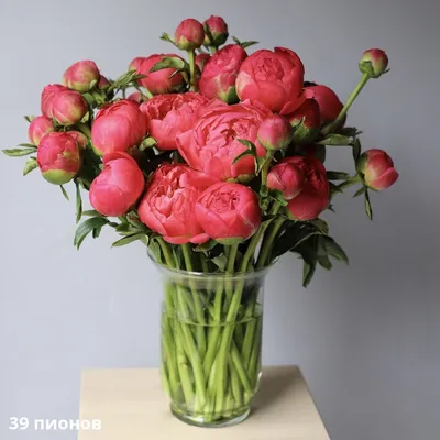 Букет из ярких пионов в вазе - заказать доставку цветов в Москве от Leto  Flowers