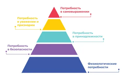 Пирамида Маслоу в психологии — что это простыми словами: что находится на  ее вершине и сколько основных потребностей человека выделяется