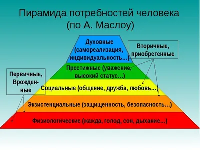 Пирамида потребностей Маслоу: главные принципы и структура | Forbes Life