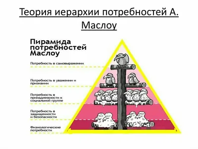 Пирамида потребностей Маслоу Эта... - Анри-Фарм сеть аптек | Facebook