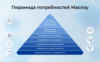 Псевдотеории, в которые все верят: Маслоу, визуалы и стадии горя | Купрум