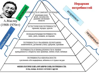 Пирамида потребностей Маслоу в применении к цифровому маркетингу