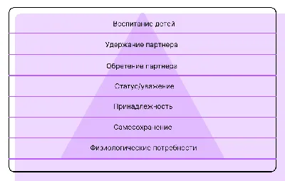 Как выглядит пирамида Маслоу для бизнеса в 2024. И закрыты ли у вас базовые  потребности? | Новости Украины | LIGA.net
