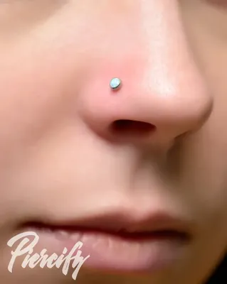 Прокол крыла носа в Москве - цена на пирсинг пазух носа | «Piercing.Wiki»