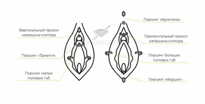Пирсинг - «🙋История моих проколов (соски, пупок, интимный, язык). Мои  последствия от пирсинга и все любимые украшения. Красота стоит жертв:) Чем  можно заменить, как ухаживать, как с ним жить, всё, что я