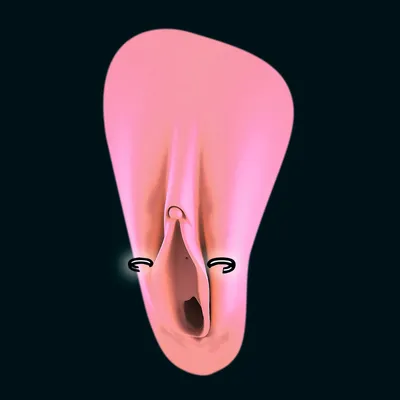 Пирсинг больших половых губ