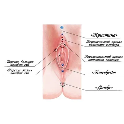 ИНТИМНЫЙ ПИРСИНГ ЖЕНСКИЙ