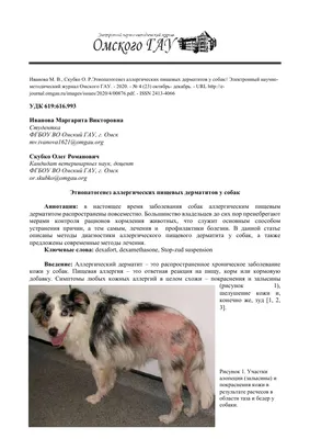 Пищевая аллергия у собак - симптомы и лечение | Как собака | Дзен