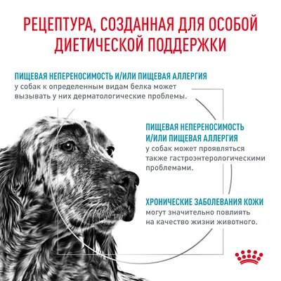 Сухой корм Brit GF VetDiets Dog Hypoallergenic, при пищевой аллергии, для  собак, 2 кг купить в Киеве, Днепре, Украине