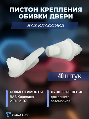 Пистон-клипса обшивки МАЗ (двойная) н/о 6430-8219239/40-01 купить онлайн в  автомагазине Авторота