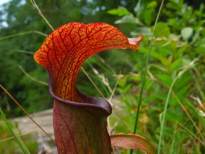 Earthen pitcher hi-res stock photography and images - Alamy