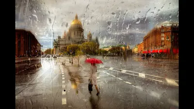Утонченные фото Петербурга под дождем: выберите формат скачивания