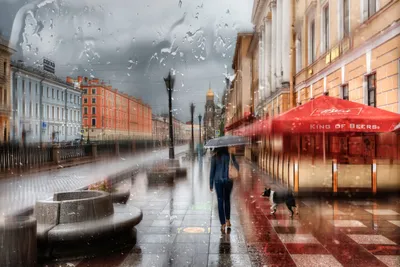 Волшебство дождевых дней в Петербурге: скачайте фото бесплатно