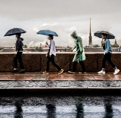 Потрясающие виды Петербурга в дождь: скачивайте бесплатно и в хорошем качестве