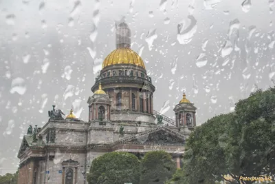 Романтические фотографии Питера во время дождя: выберите подходящий формат скачивания