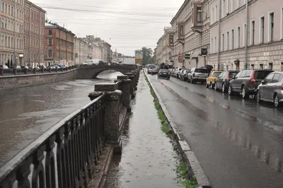 Осенний Питер в объективе: скачайте бесплатно фотографии дождя