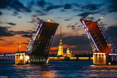 Красивый Питер летом 2021 / дворцовый мост СанктПетербург